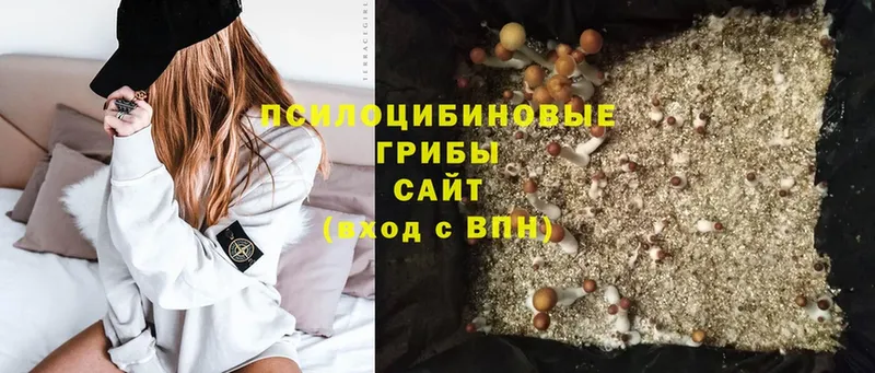 Псилоцибиновые грибы MAGIC MUSHROOMS  Закаменск 